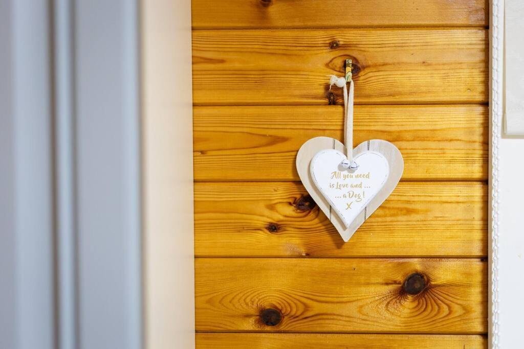Rural Log Cabin In Snowdonia Near Coed Y Brenin By Seren Short Stays Ffestiniog Exterior foto